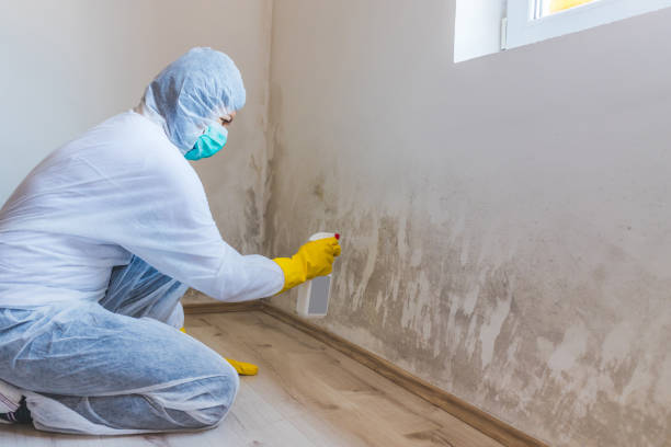 Licensed Crawl Space Mold Remediation service in Fairfax Station, VA - 24 Hour Mold Removal