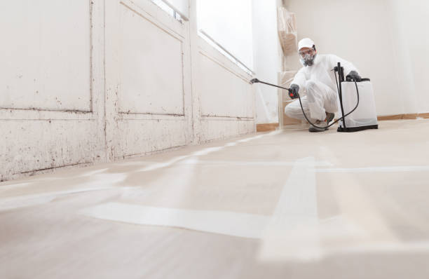 24/7 Emergency Crawl Space Mold Remediation experts in Fairfax Station, VA