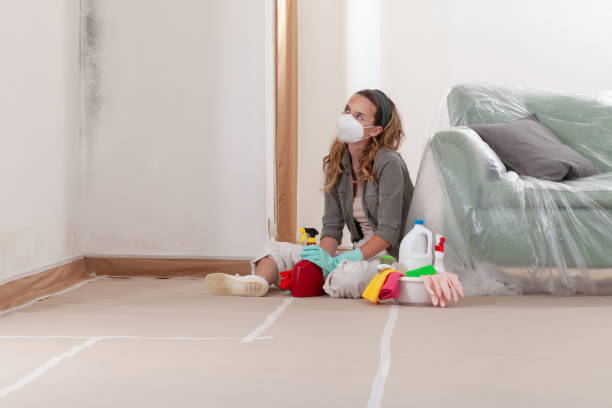 Reliable Crawl Space Mold Remediation contractor in Fairfax Station, VA by 24 Hour Mold Removal