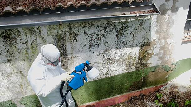 Top rated local Crawl Space Mold Remediation specialists in Fairfax Station, VA